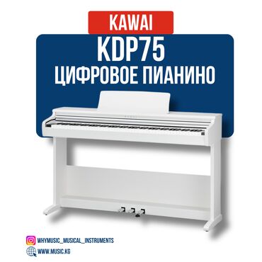 купить пианино немецкое: Пианино цифровое Kawai KDP 75 Kawai KDP 75 — это компактное и