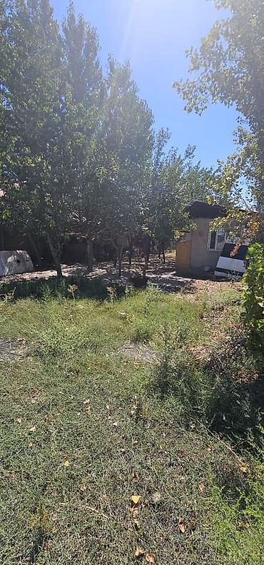 скупка домов: 3 соток, Для бизнеса, Договор купли-продажи — 2
