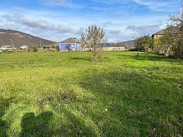 yalinda torpaq satilir: 12 sot, Tikinti, Mülkiyyətçi, Kupça (Çıxarış) — 5