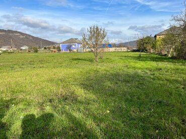 Torpaq sahələrinin satışı: 18 sot, Biznes üçün, Kupça (Çıxarış) — 5