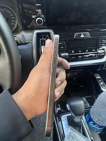 14 mini: IPhone 16 Pro Max, Б/у, 256 ГБ, Золотой, 90 % — 4