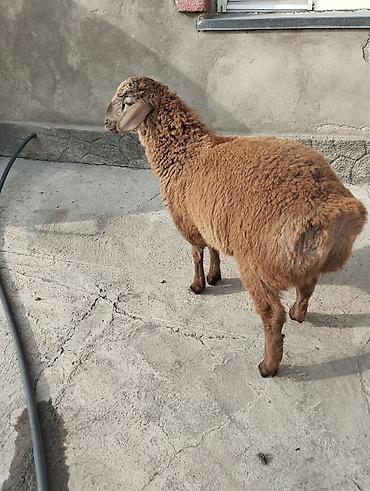 Сварка: Сварка | Камины Высотные работы — 2