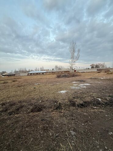 Продажа домов: Дом, 3500 м², 6 комнат, Собственник, Косметический ремонт — 15