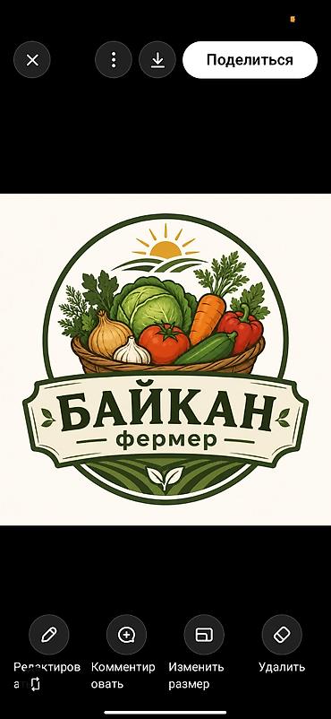 Байкан — фермерские овощи и зелень Логотип “Байкан фермер” at lalafo.kg Байкан — фермерские овощи и зелень Логотип “Байкан фермер”