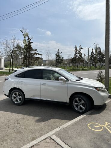 Lexus: Lexus RX: 2009 г., 3.5 л, Автомат, Бензин, Кроссовер