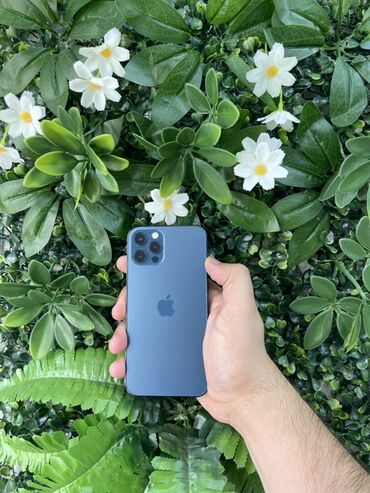 dubayiski iphone: IPhone 12 Pro Max, Pacific Blue