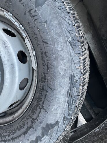 Iveco: Iveco Daily: 2008 г., 3 л, Механика, Дизель — 14