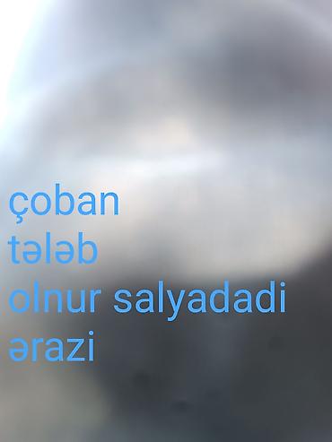 Kənd təsərrüfatı: Çoban, 32 yaş, 3-5 illik təcrübə — 1