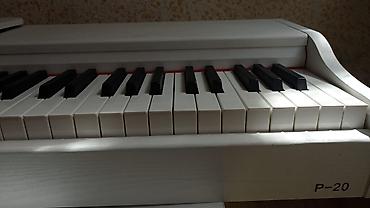 volta vs2: Piano Suita Ağ Rəqəmsal işlənmiş görünüşünə baxmayaraq, pianino tam — 7