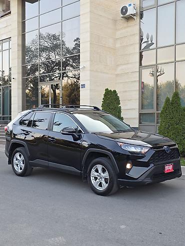 Toyota RAV4: 2019 г., 2.5 л, Вариатор, Гибрид, Кроссовер