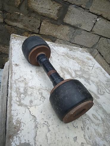 diska: Tək ədəd hantel - Material: metal nüvə, hər iki tərəfdə qalın — 1