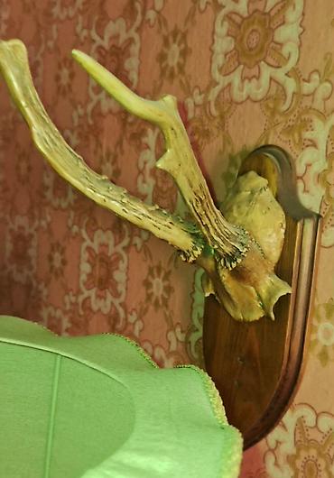 Декор и интерьер: Настенное декоративное панно с натуральными рогами косули на — 2