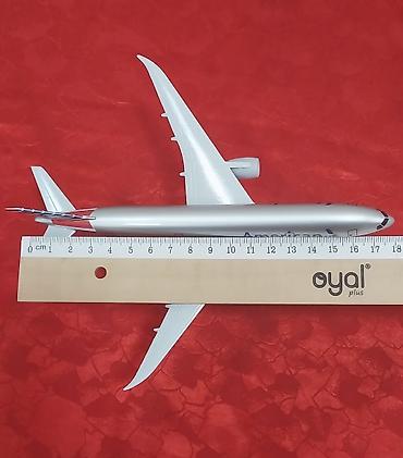 elmin: American Airlines təyyarə maketi – vitrin/masaüstü dekoru — 4