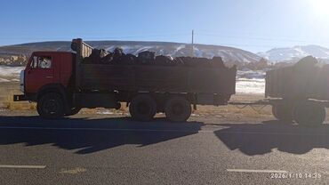 Грузовики: Грузовик, Камаз, Б/у — 20