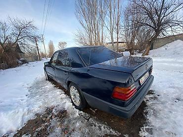 Mercedes-Benz: Mercedes-Benz W124: 1991 г., 2.3 л, Автомат, Бензин, Седан — 1