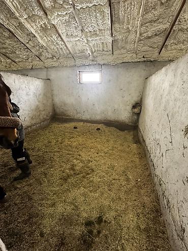 Продажа сельхоз предприятий: Конюшня/стабиль с утеплением и вспомогательными помещениями Описание — 3