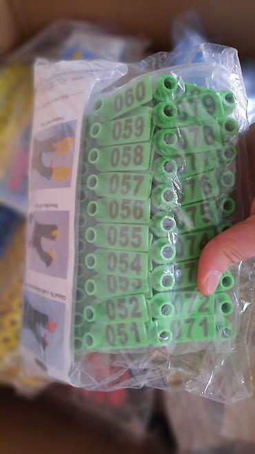 Breloklar: Qoyun və inəklər üçün müxtəlif növdə qulaq birkalar və qulaq deşənlər — 1