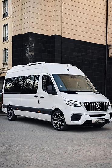Пассажирский бус на заказ: Mercedes-Benz Sprinter VIP (минивэн/микроавтобус повышенной — 11