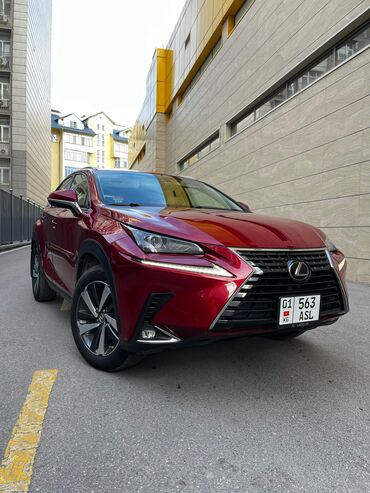 Lexus: Lexus NX: 2018 г., 2 л, Автомат, Бензин, Кроссовер