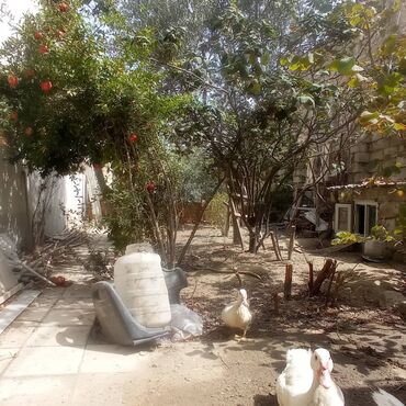 Həyət evləri və villaların satışı: Binəqədi qəs. 5 otaqlı, 110 kv. m, Kredit var, Orta təmir — 25