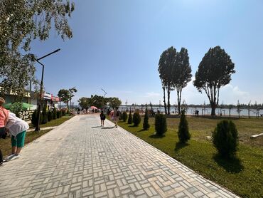ночь охрана: Үй жана бакча үчүн декор