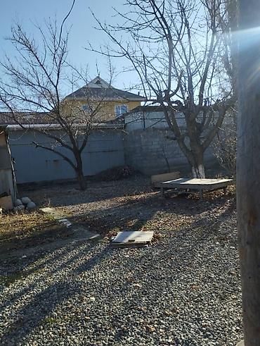 Продажа коттеджей и домов: Продается дом!!! Арча бешик 🔥🔥🔥 Все коммуникации Есть магазин под at lalafo.kg — 2 Продажа коттеджей и домов: Продается дом!!! Арча бешик 🔥🔥🔥 Все коммуникации Есть магазин под — 2