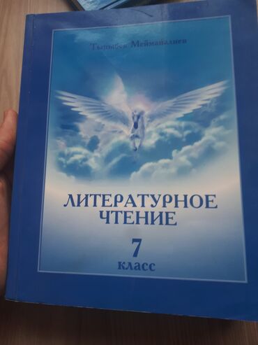 Книги для 7 класса. Литературное чтение 7 класс кыргызский. Литературное чтение 7 класс Мейманалиев. Литература 7 класс в Киргизии. Русская литература 7 класс Кыргызстан.