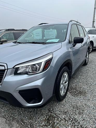 Subaru: Subaru Forester: 2019 г., 2.5 л, Вариатор, Бензин, Кроссовер — 3