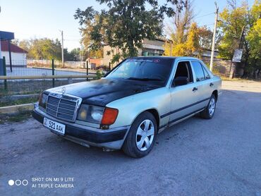 Mercedes-Benz: Mercedes-Benz 300: 1990 г., 3 л, Механика, Дизель, Седан