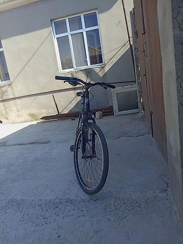 Velosipedlər: Velosiped – Falcone markalı, şəhər və yüngül off-road üçün rsal model — 3