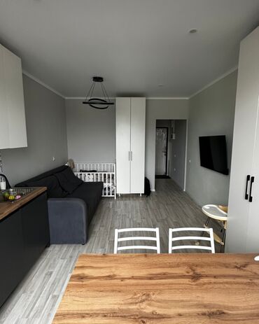 индивидуальный квартира: 1 комната, 27 м², Элитка, 5 этаж, Евроремонт