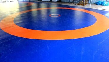 Другие тренажеры: Профессиональные спортивные маты для единоборств Назначение: - борьба — 36