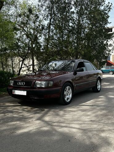 Audi: Audi 100: 1992 г., 2.8 л, Механика, Бензин, Седан