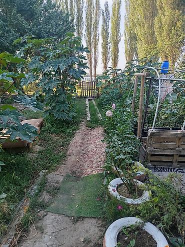 дом участок село мыкан: Продаётся земельный участок с домом и хозяйственными постройками — 8