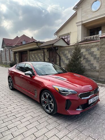 kia 3: Kia : 2019 г., 3.3 л, Автомат, Бензин, Хетчбек