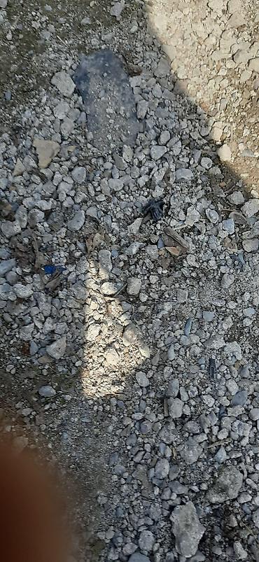 Двигатели, моторы и ГБЦ: Головка блока цилиндров и распредвал для бензиного двигателя — 3