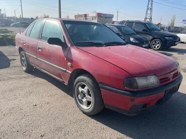 Nissan: Nissan Primera: 1992 г., 2 л, Механика, Дизель, Седан