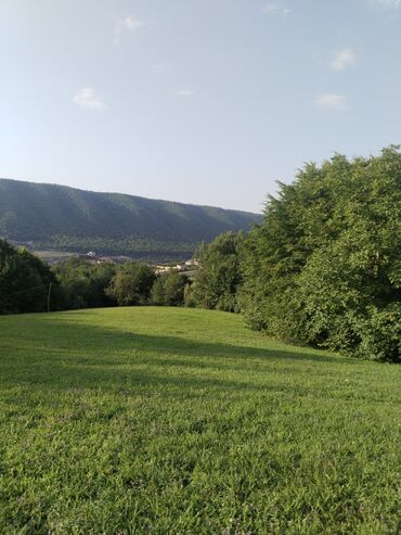 lokbatan torpaq: 92 sot, Kənd təsərrüfatı, Makler, Kupça (Çıxarış), Bələdiyyə, Müqavilə