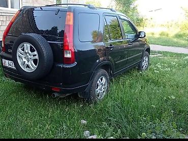 жак авто цена: Honda CR-V: 2002 г., 2.4 л, Автомат, Жол тандабас — 2