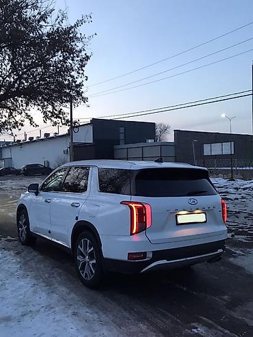 Hyundai: Hyundai Palisade: 2020 г., 2.2 л, Автомат, Дизель, Кроссовер — 6
