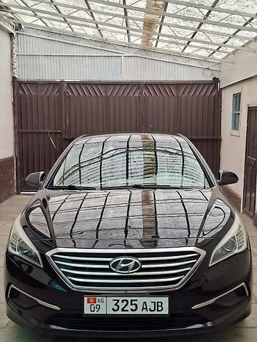 sonata 2013: Hyundai Sonata: 2017 г., 2.4 л, Автомат, Бензин, Седан — 1