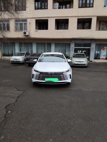 BYD: BYD : 1.5 l | 2024 il 36 km Sedan