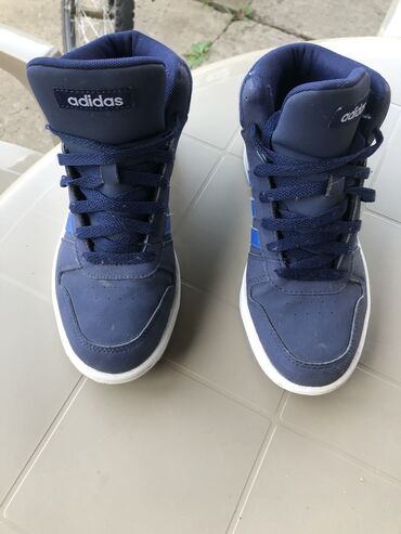 Kid's sneakers: Adidas, 37
