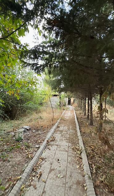 6 соток, Бизнес үчүн, Кызыл китеп, Техпаспорт, Сатып алуу-сатуу келишими — 5