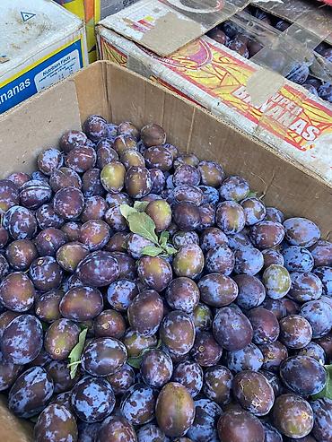 грушики: Вкусные сливы для варенья и компот 
Оптом и в розницу — 2