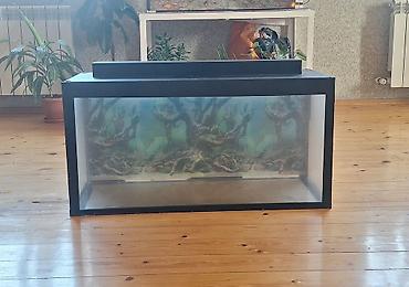 akvarium baliqlari: Dördbucaq akvarium, Boş, 96 l, Ünvandan götürmə — 1
