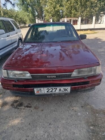 шины 14c: Toyota Camry: 1988 г., 2.5 л, Механика, Бензин, Седан