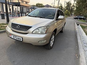 ерекс 330: Lexus RX: 2004 г., 3.3 л, Автомат, Бензин, Кроссовер — 3
