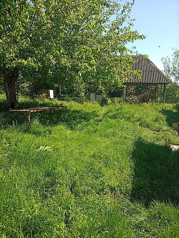 Torpaq sahələrinin satışı: 38 sot, Mülkiyyətçi, Kupça (Çıxarış) — 11