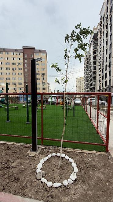Продажа квартир: 4 комнаты, 130 м², Элитка, 4 этаж — 12